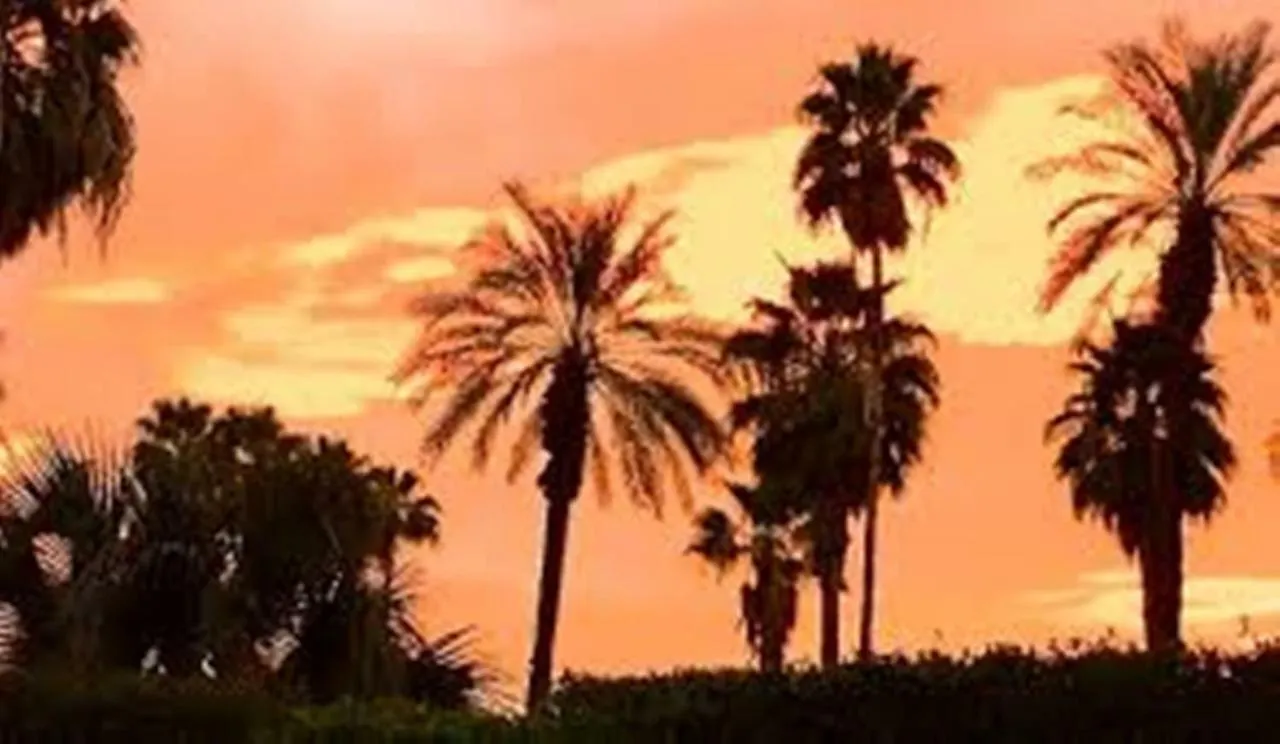 Terra Soul Villa Palm Springs